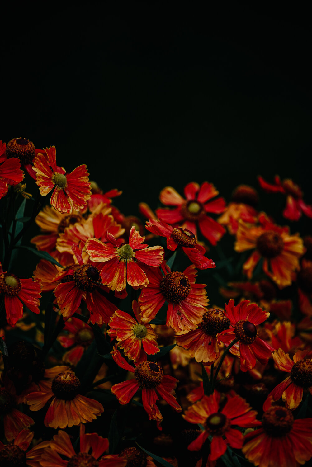 Photo #14266277
