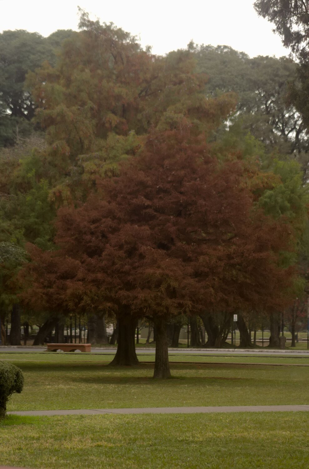 Photo #14267345