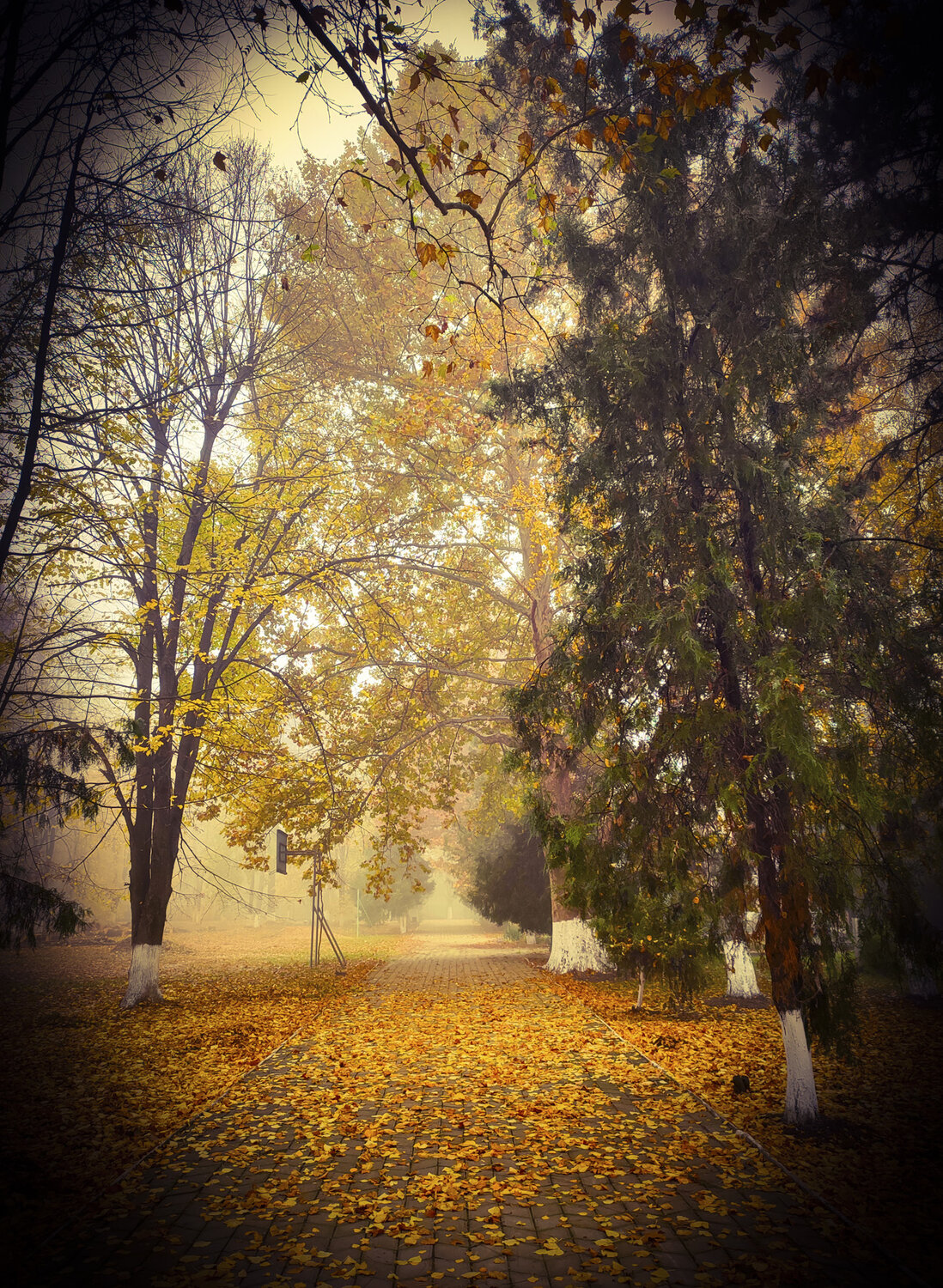 Photo #14267351