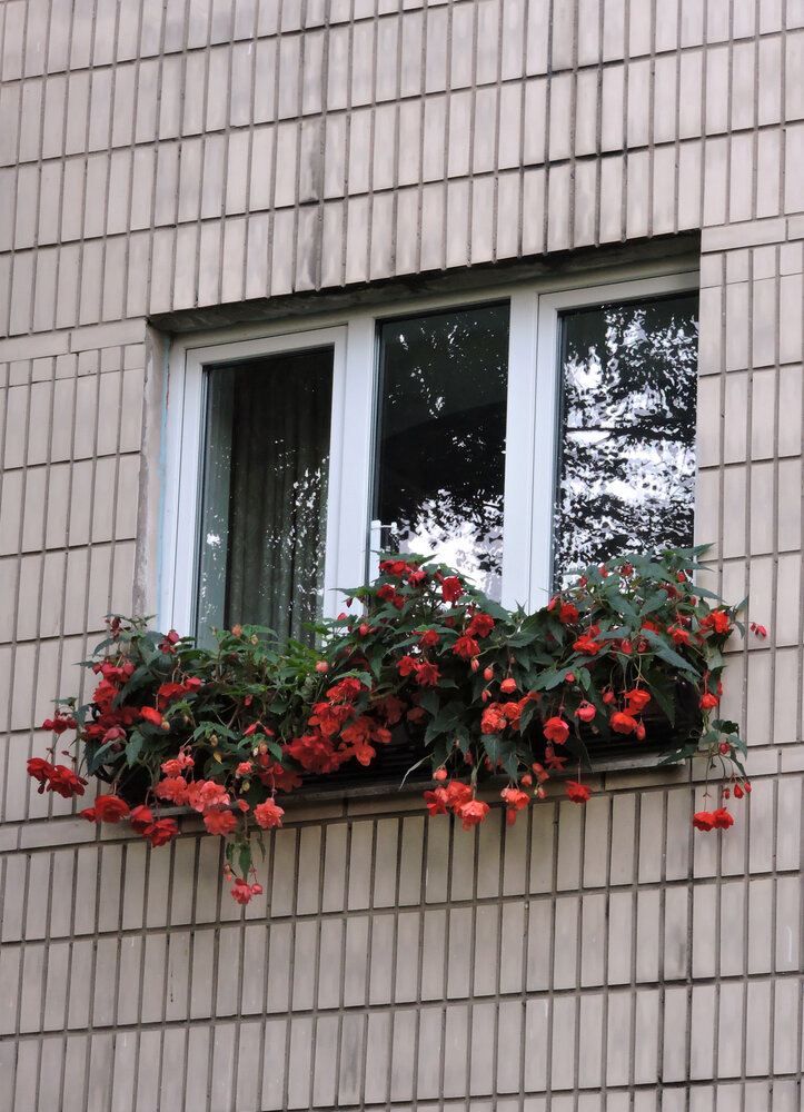 Photo #14267841