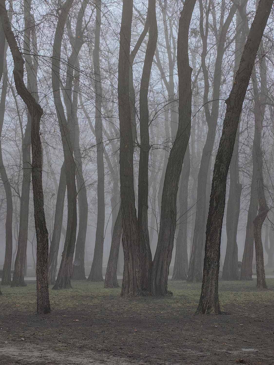 Photo #14271628