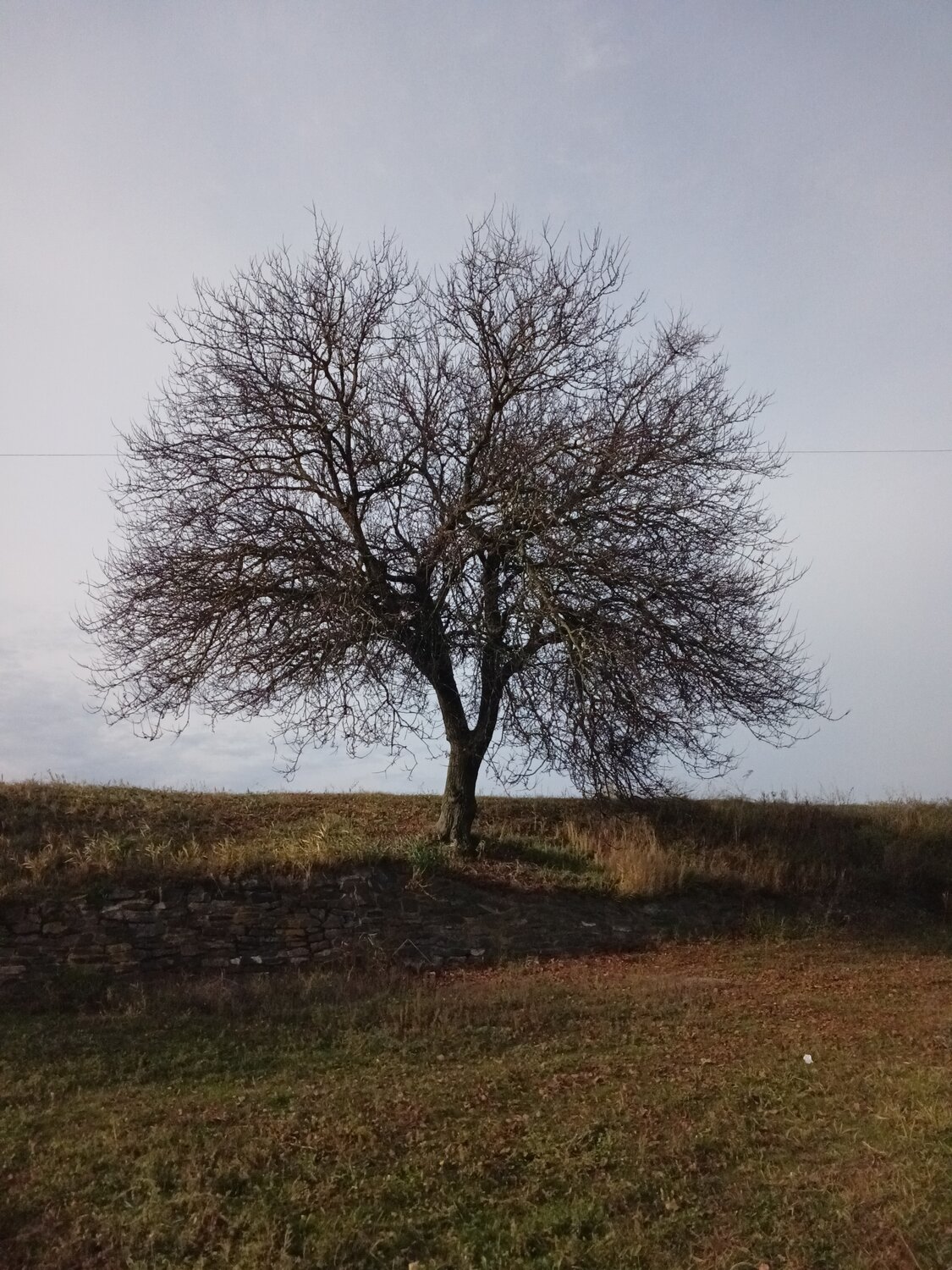 Photo #14272993