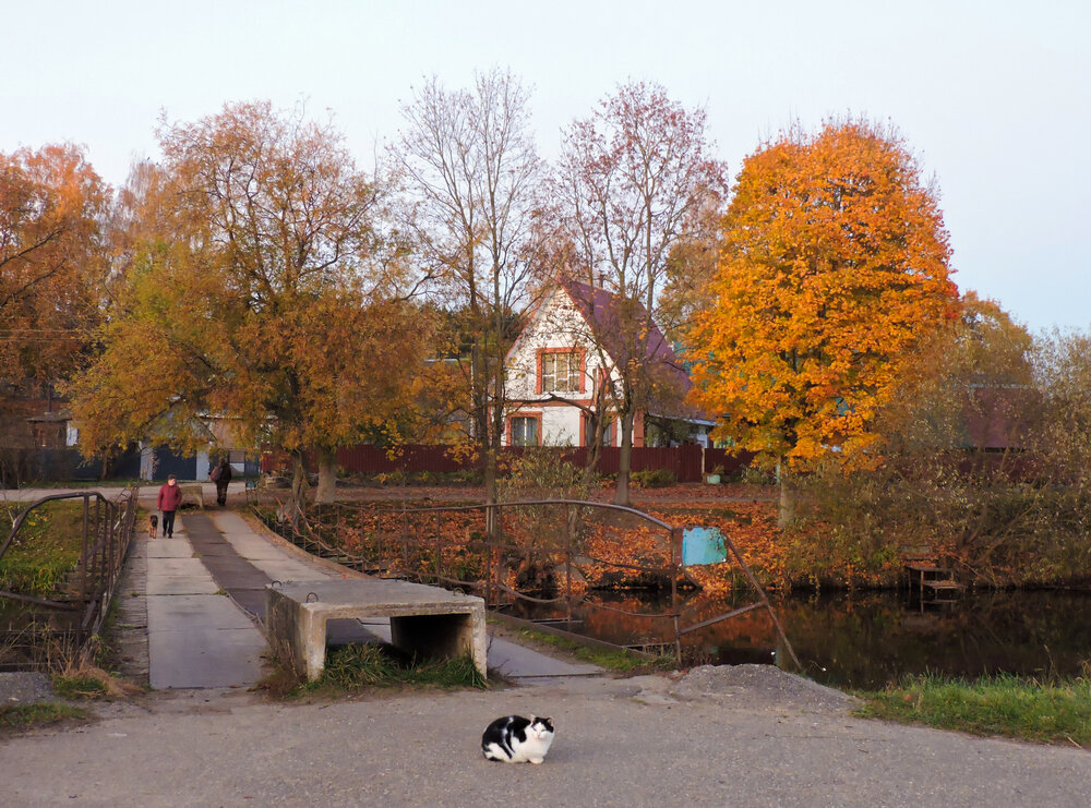 Photo #14275471