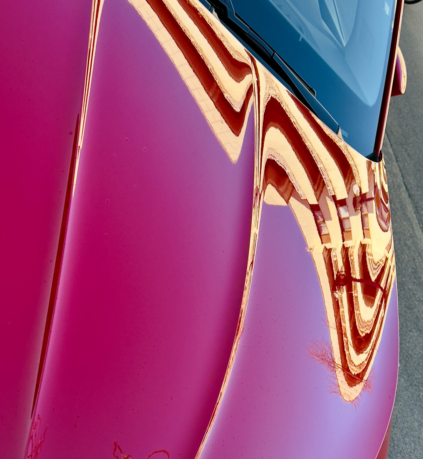 Photo #14277506