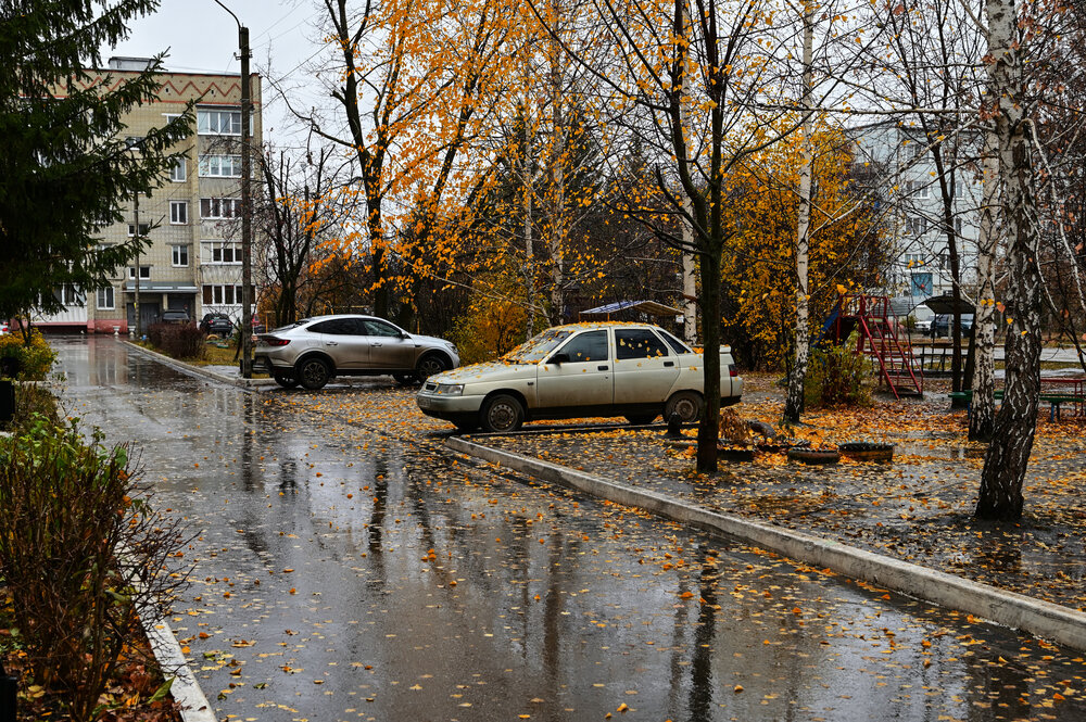 Отражения осеннего дождя