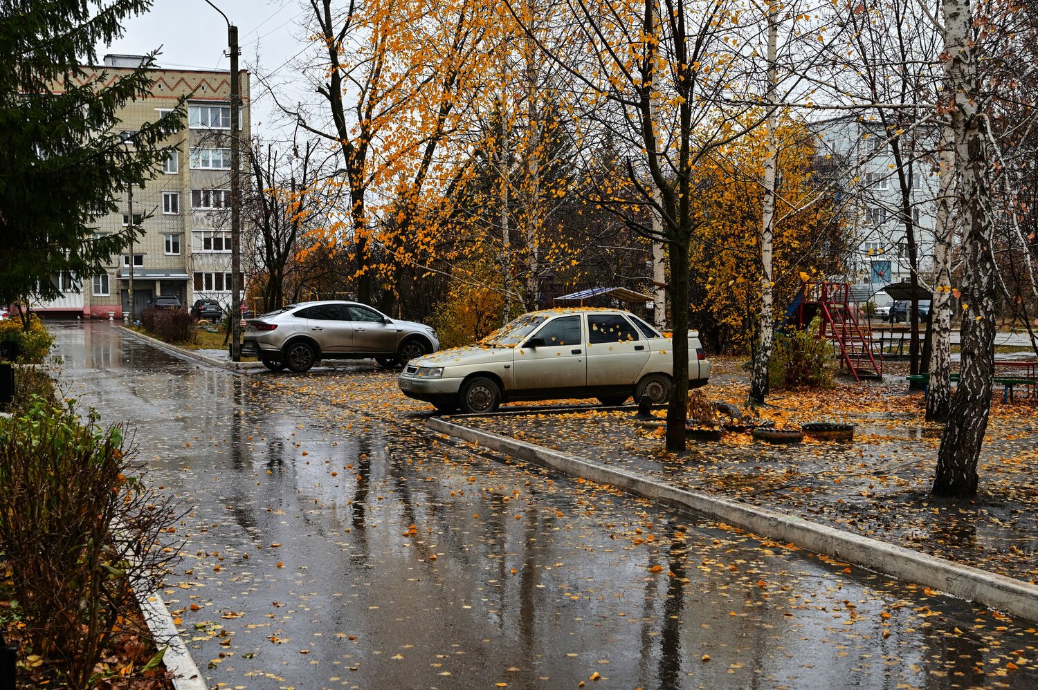 Отражения осеннего дождя