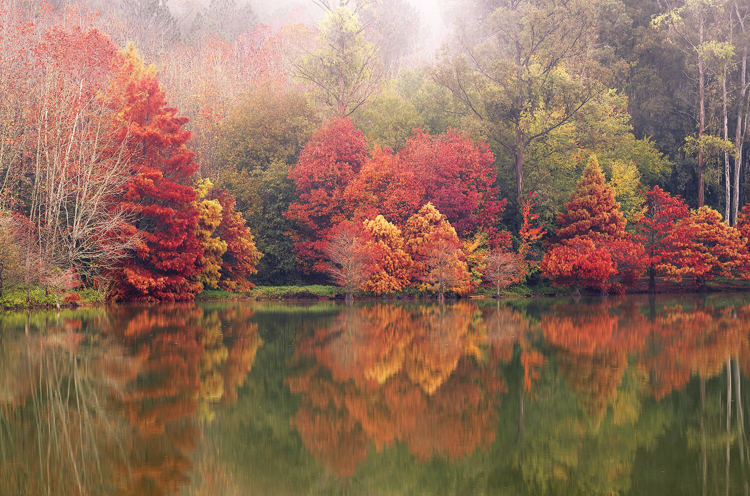 Photo #14279226