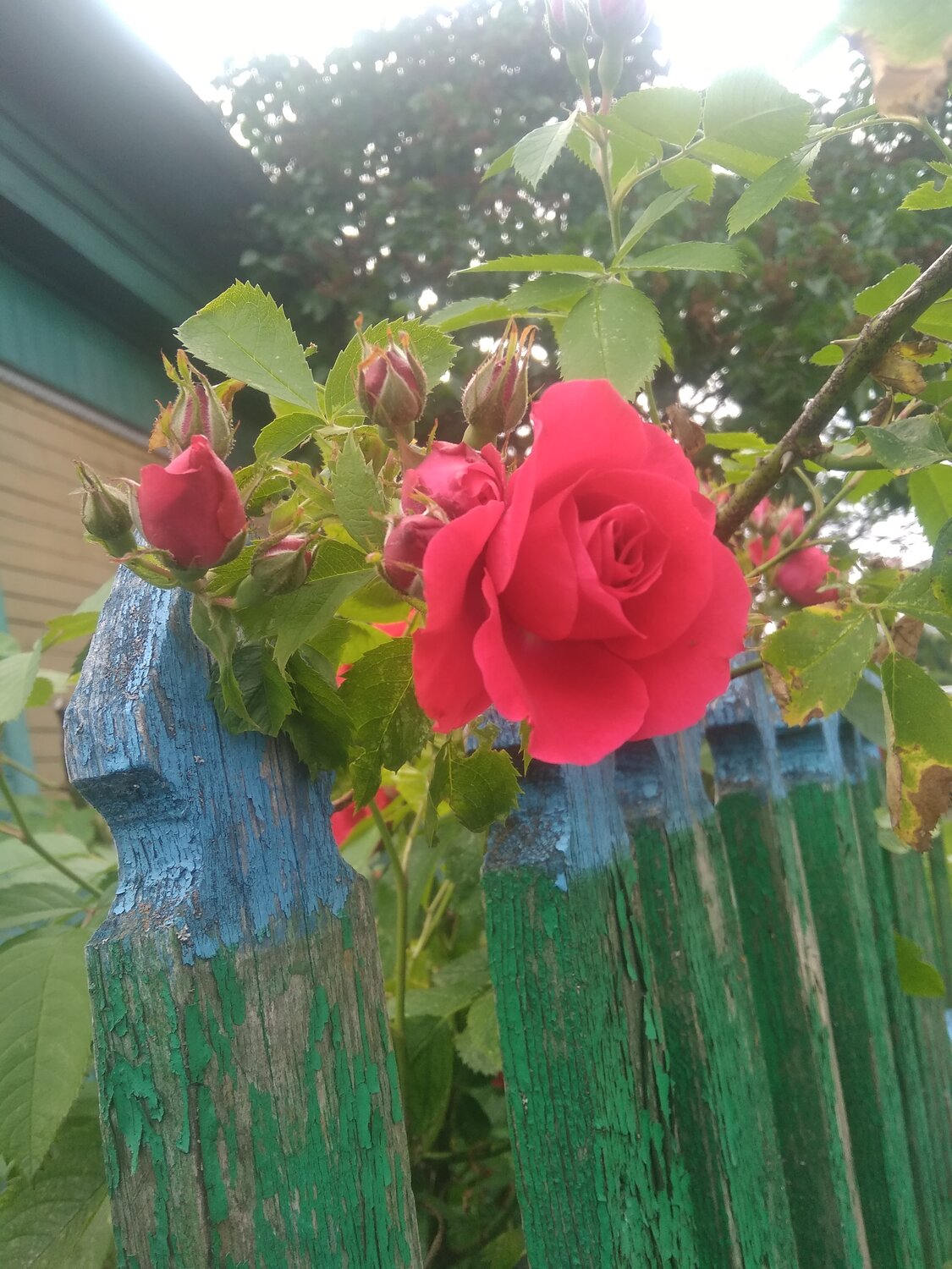 Photo #14280426