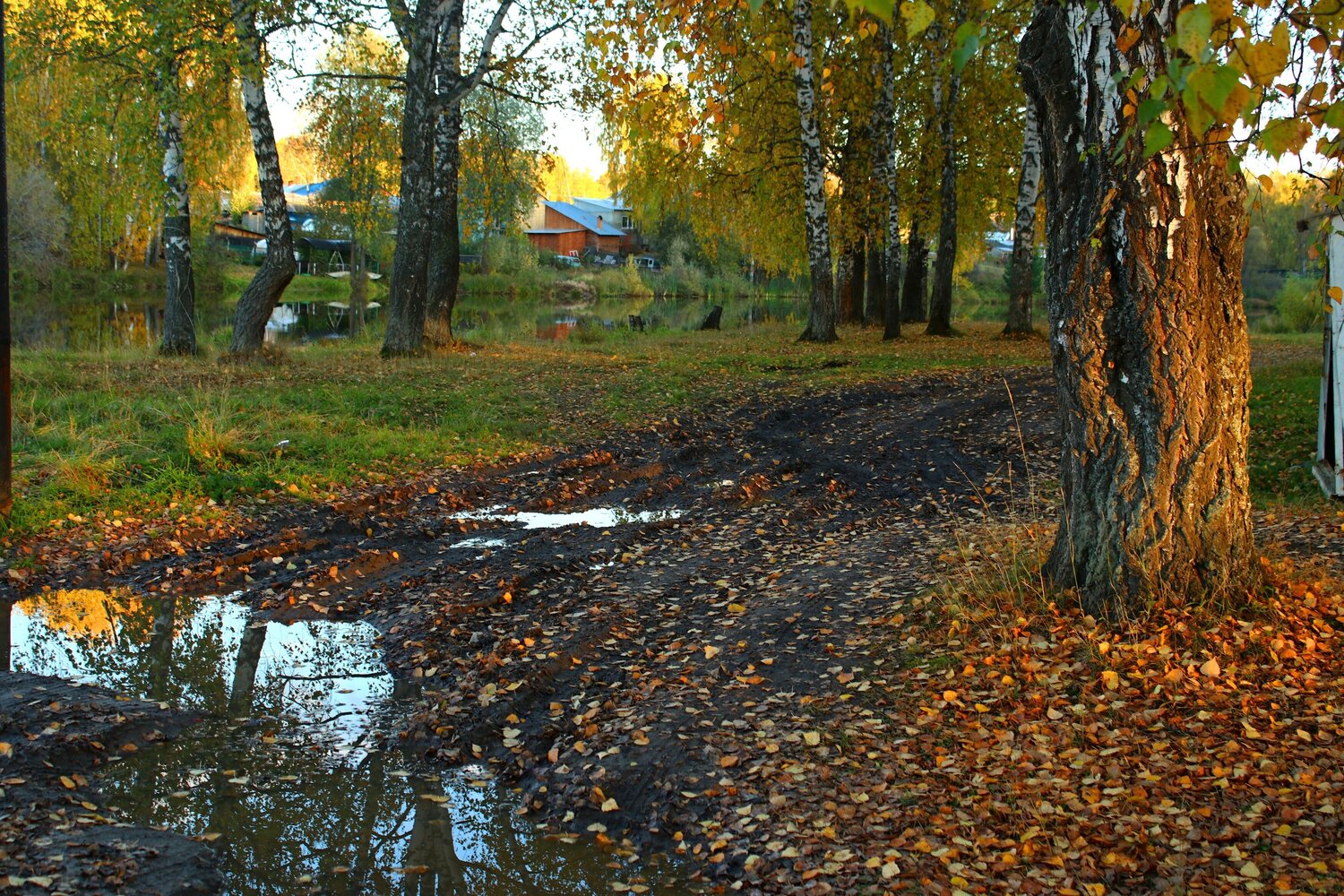 Photo #14280481