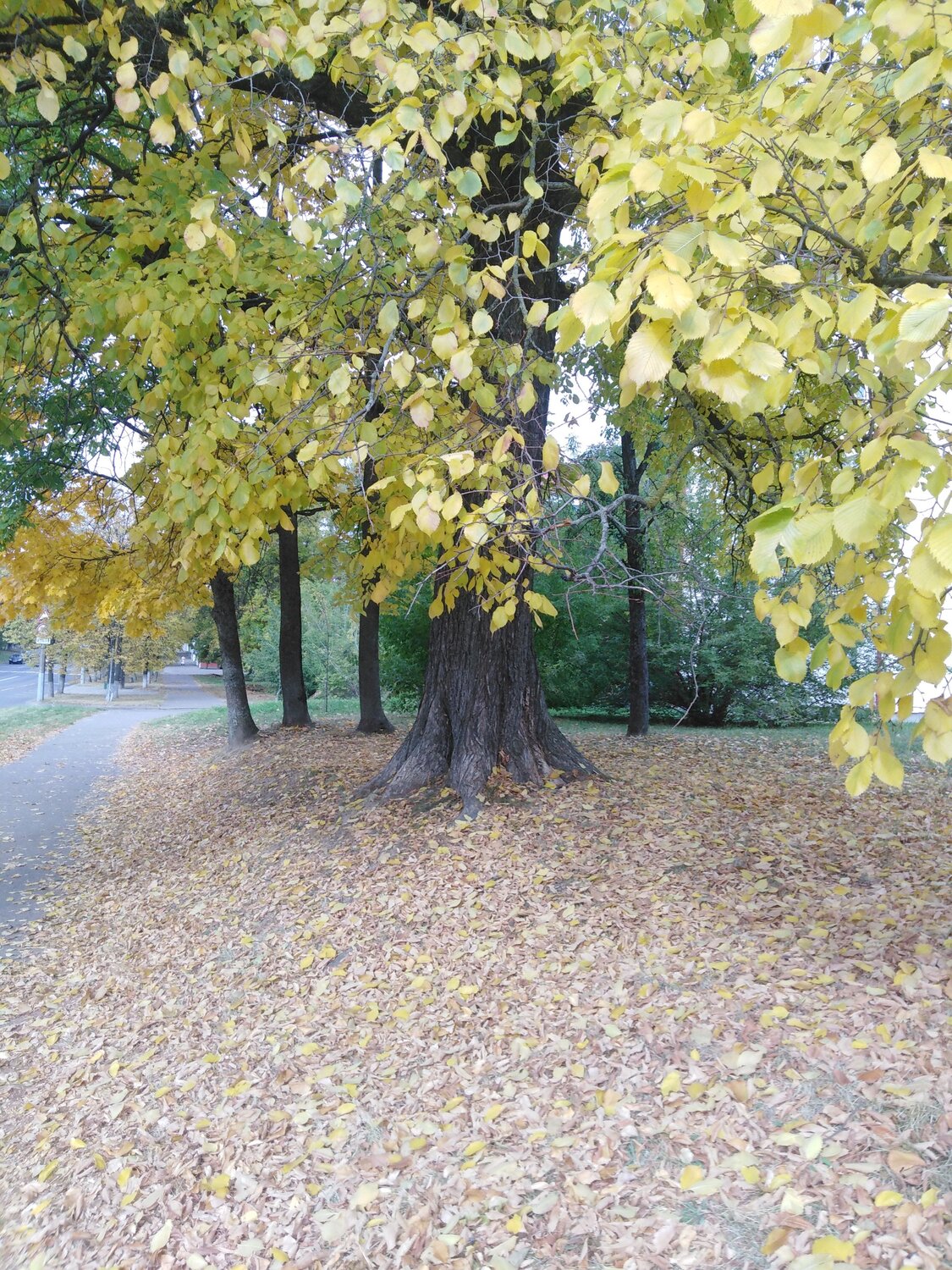 Photo #14280522