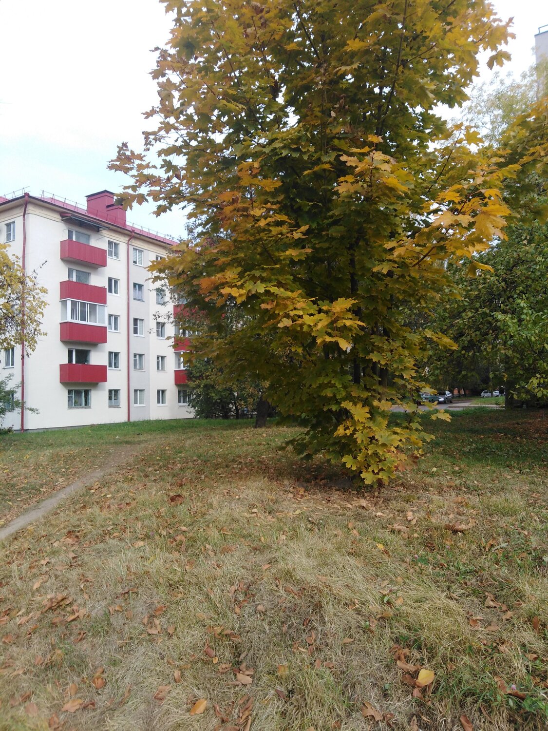 Photo #14280552