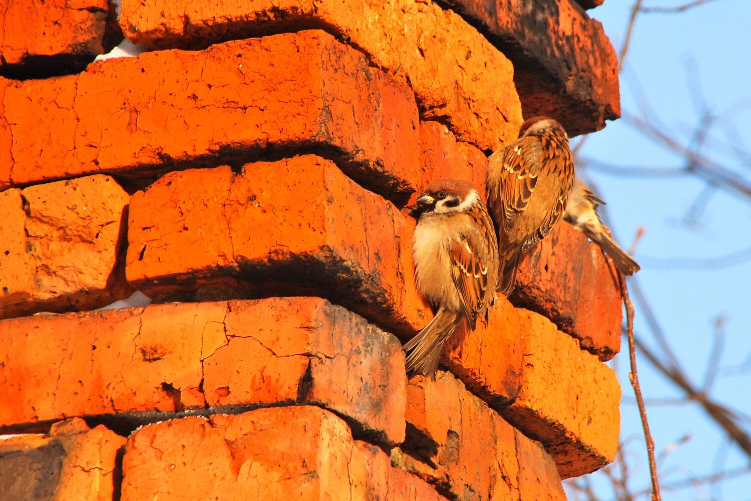 Photo #14283296