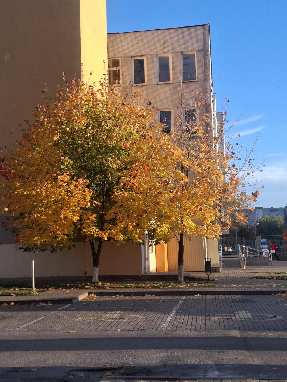 Photo #14285493