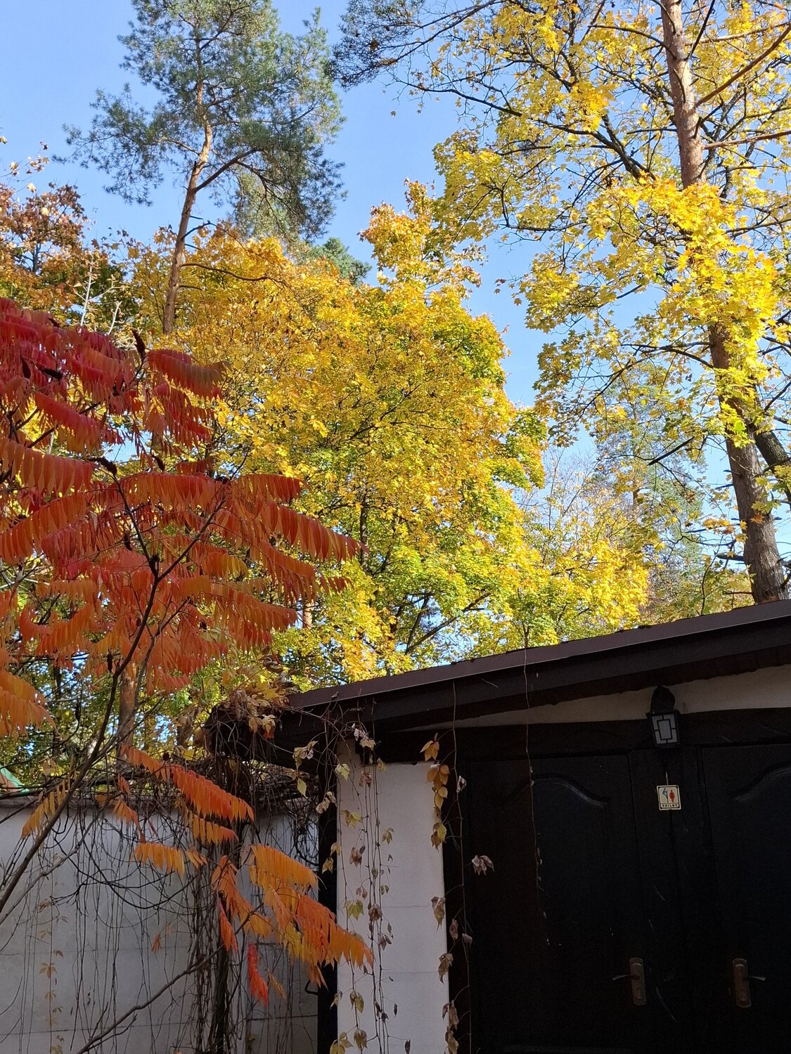 Photo #14285494