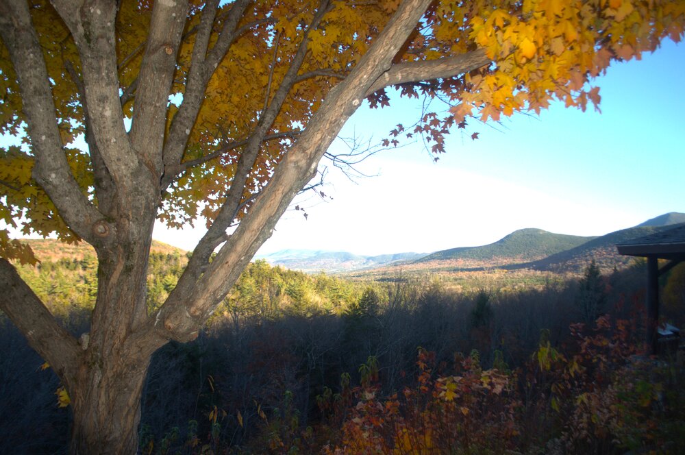 Autumn\\\'s Golden Gateway