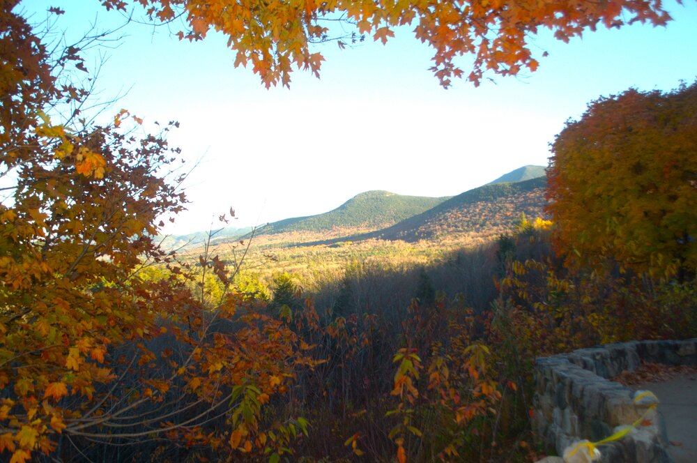 Autumn\'s Embrace