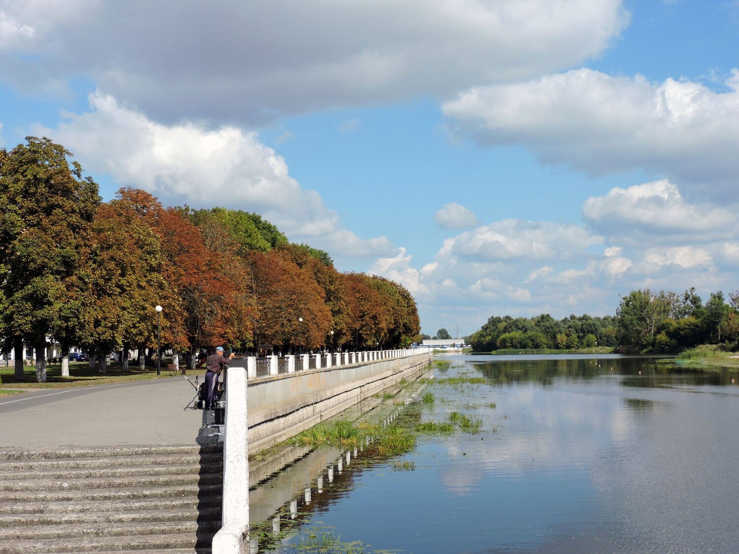 Photo #14291205