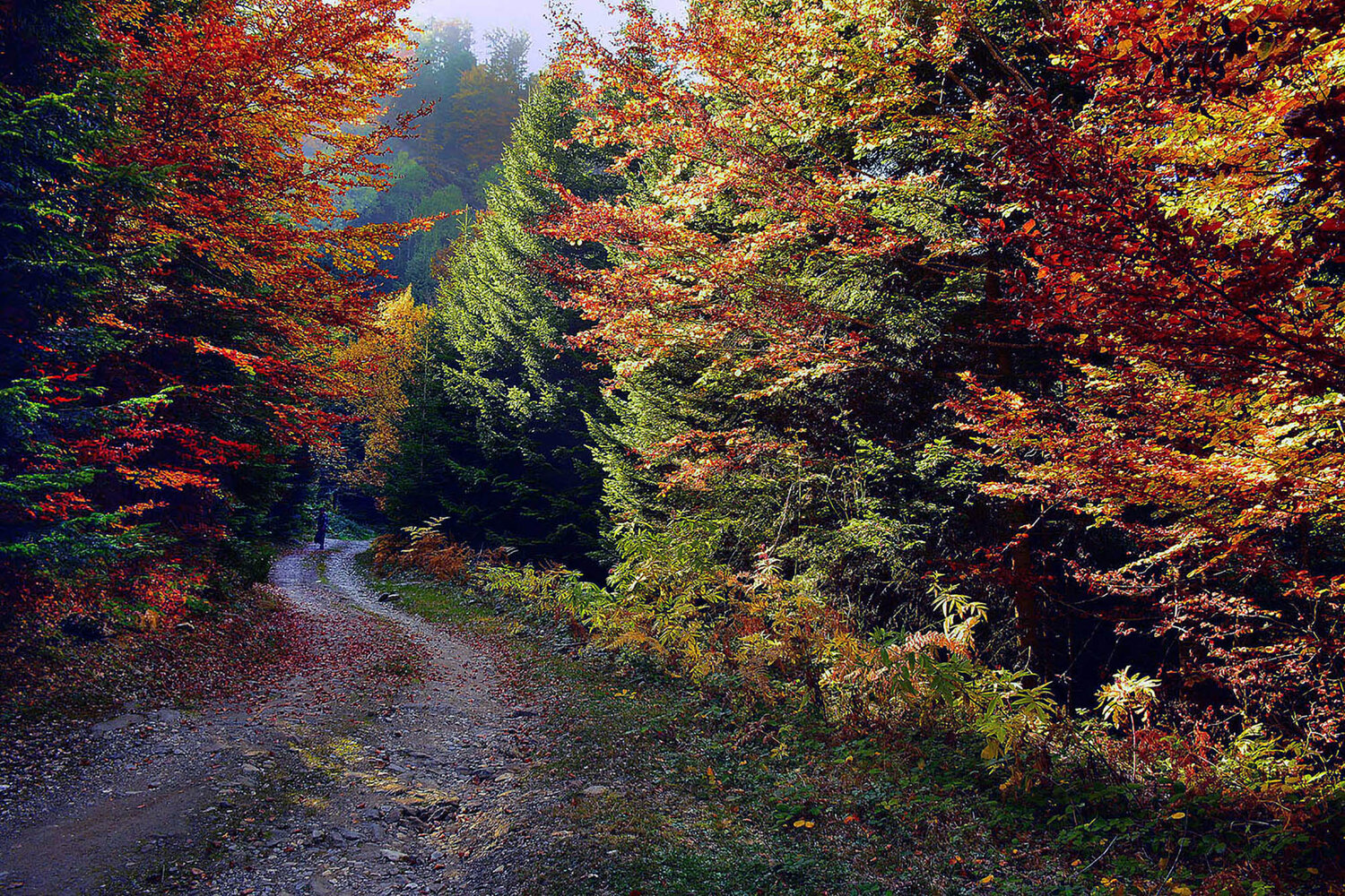 Autumn in october 3