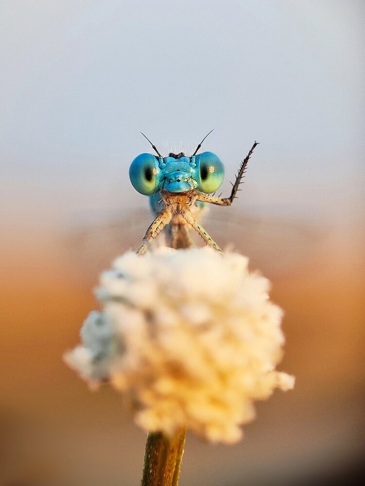 Hello World!