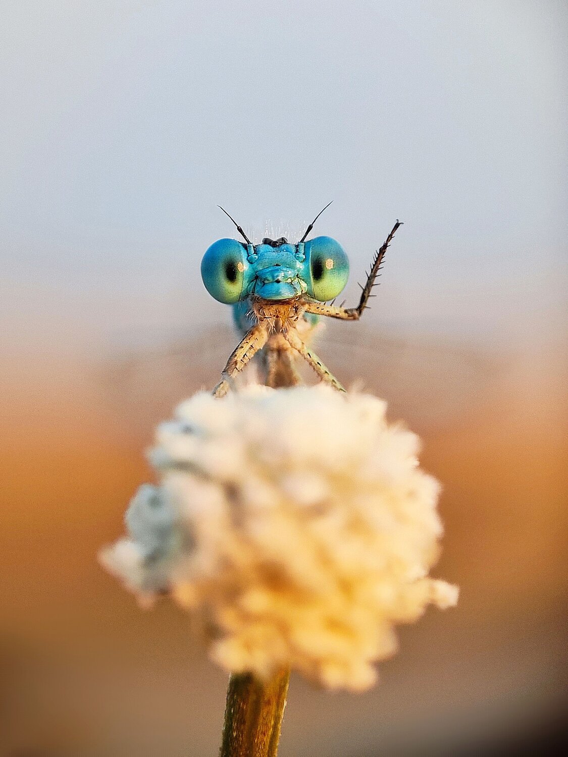 Hello World!