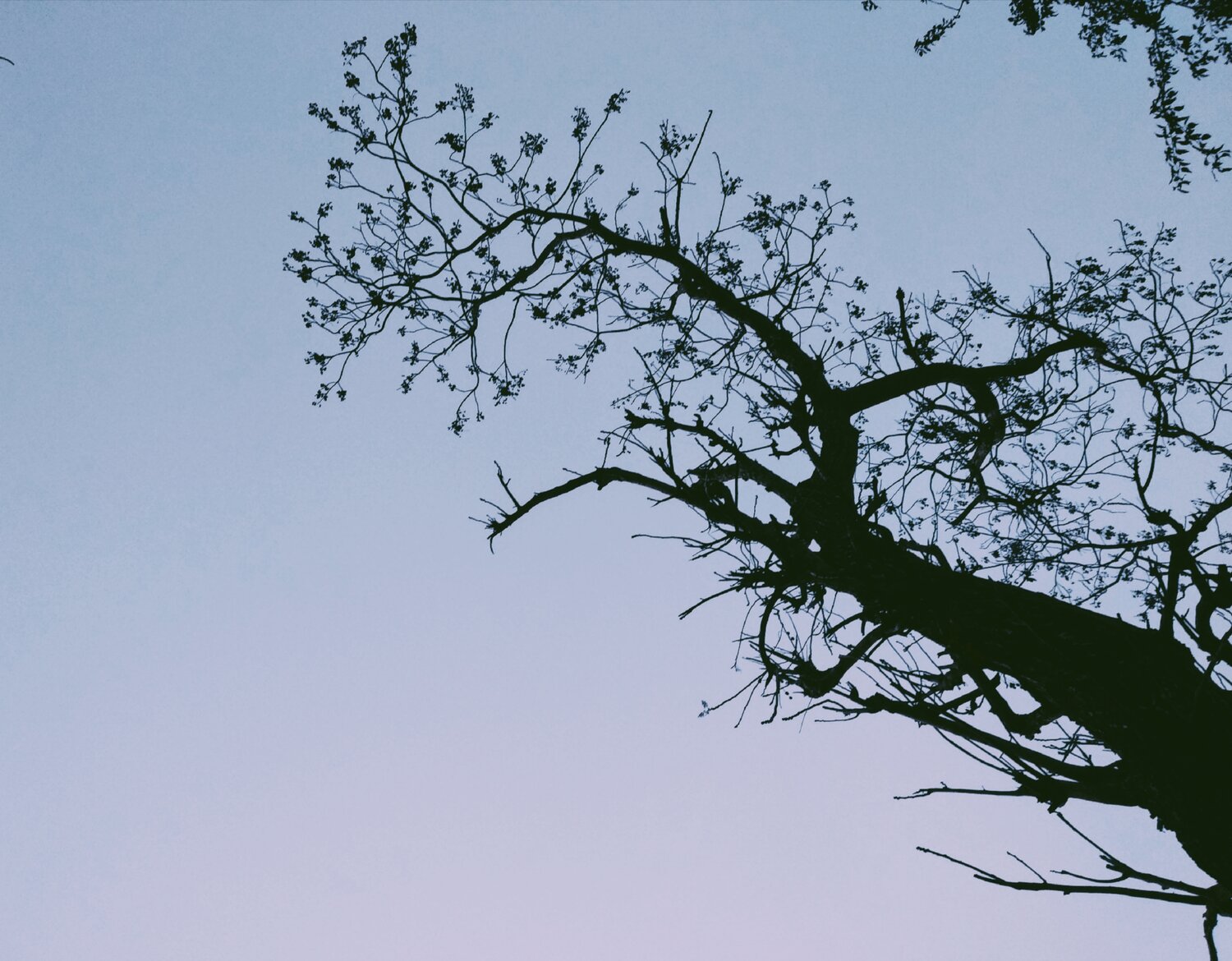 Photo #14298603