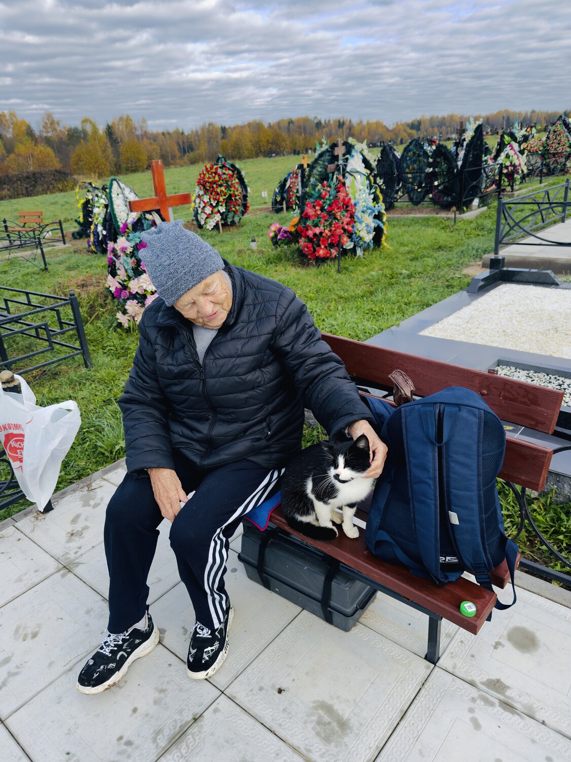 A cat came to the grave.