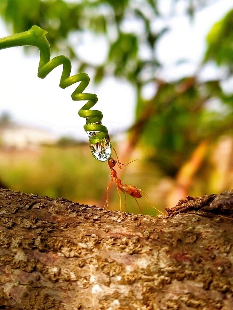Thirsty