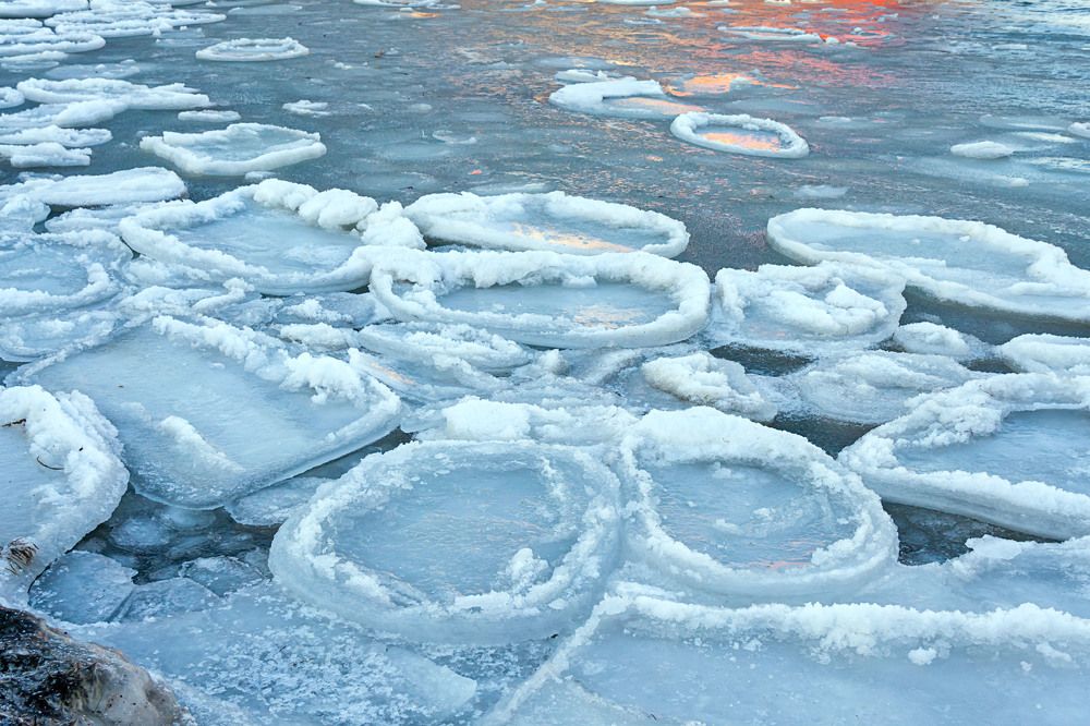 Морские льдины