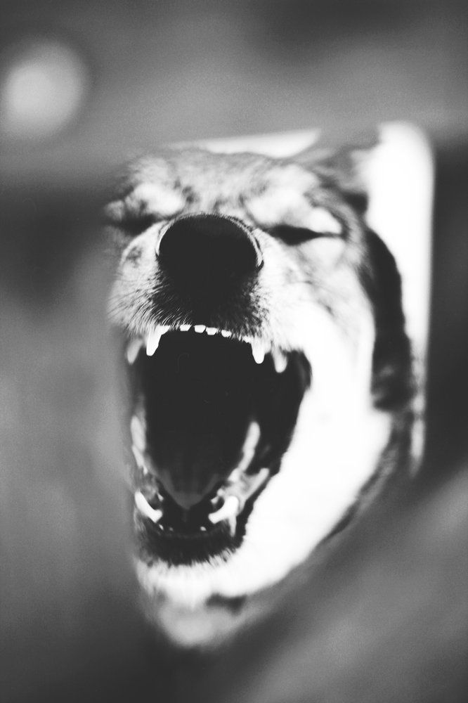 Photograph by Ирина Тушева