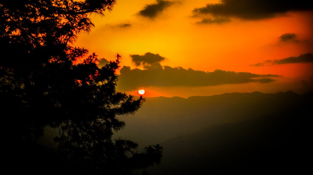 Orange..!!!