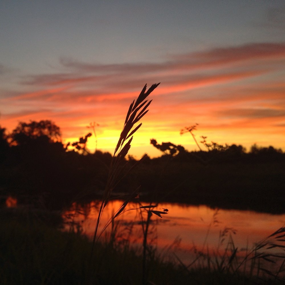 Закат в вечернем Подмосковье
