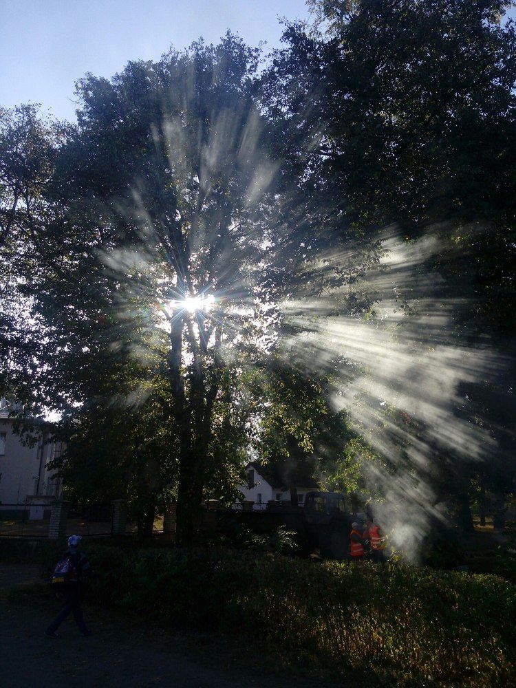 Душа костра