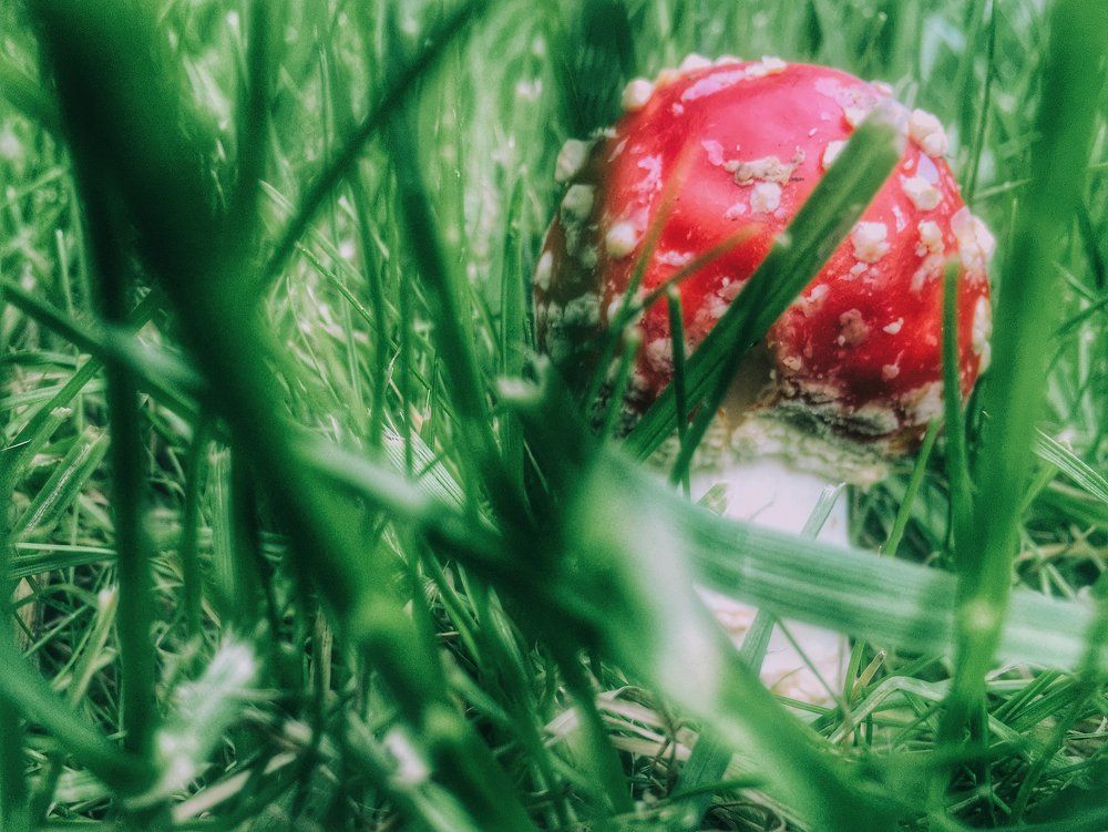 Photograph by Екатерина Моисеенко
