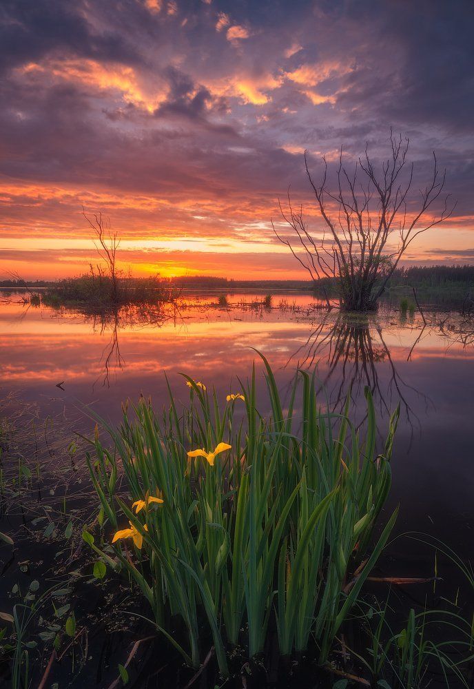 В вечернем огне