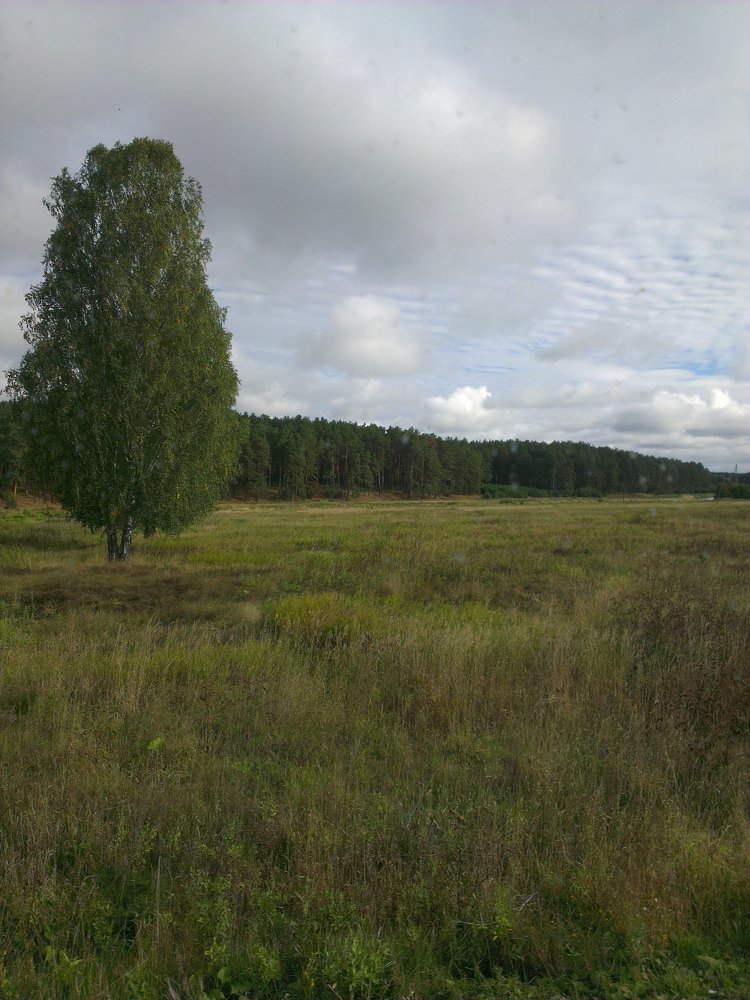 одиночество