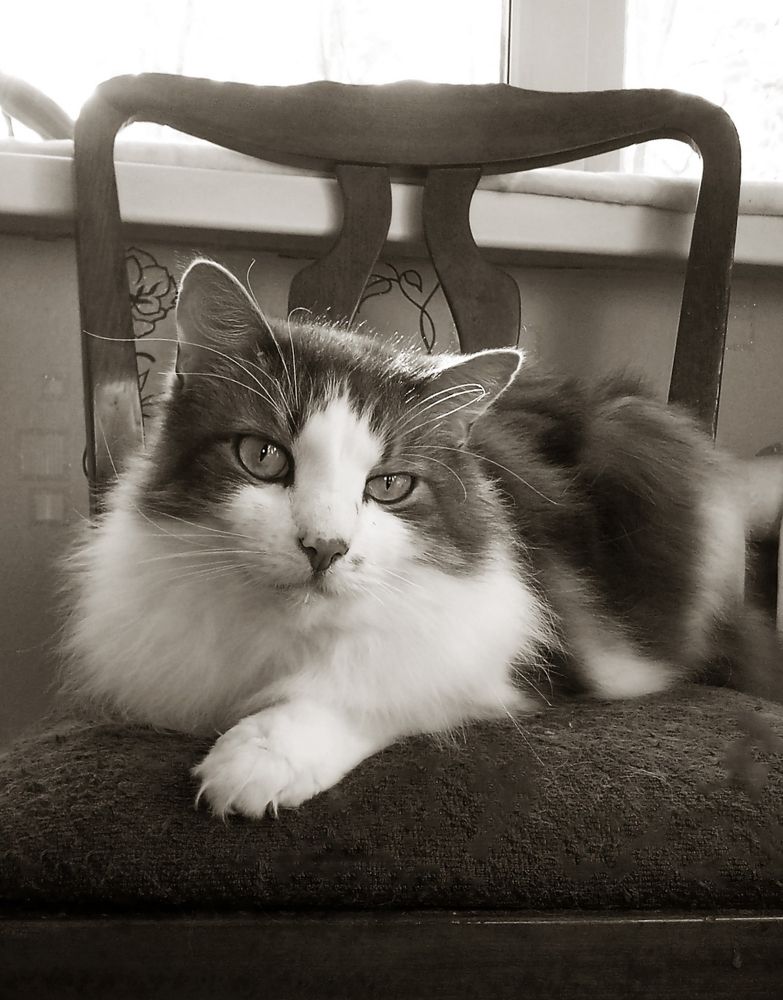 Я тебя внимательно слушаю, рассказывай!