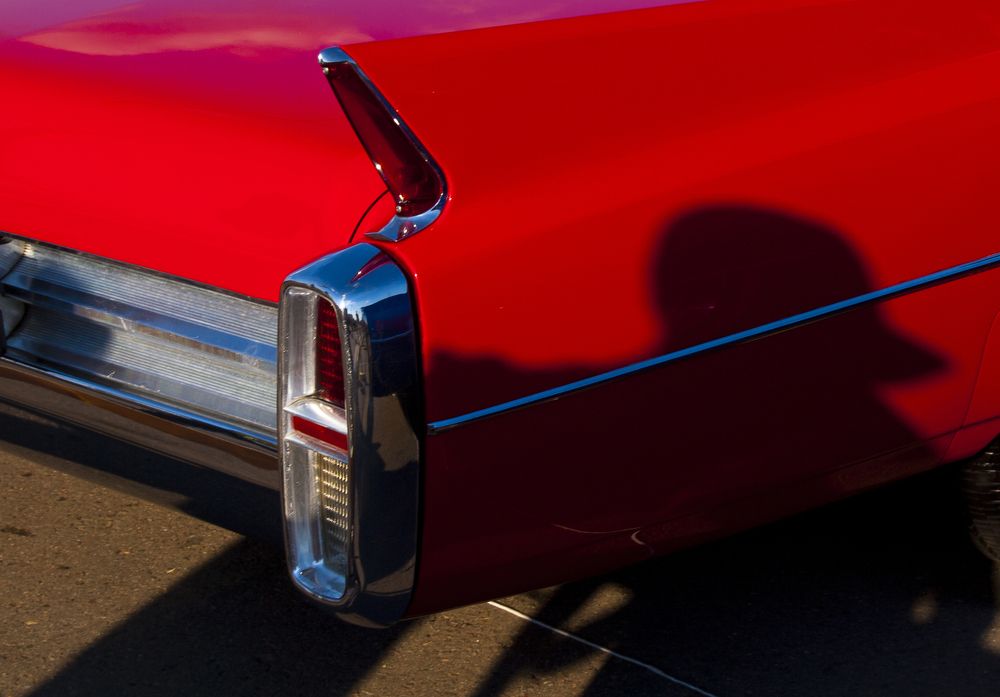 Faces and Laces Fest