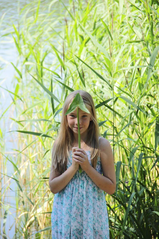 Photograph by Anita March