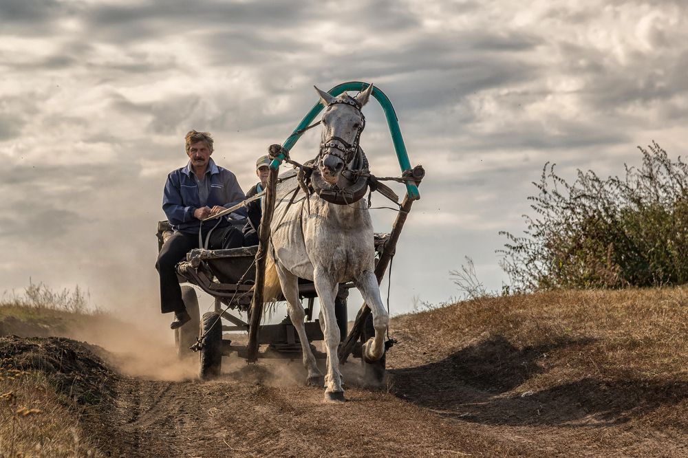 Повседневная жизнь