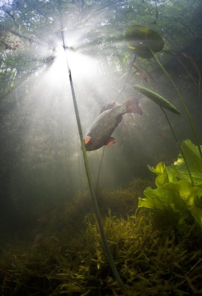 В лучах рассвета