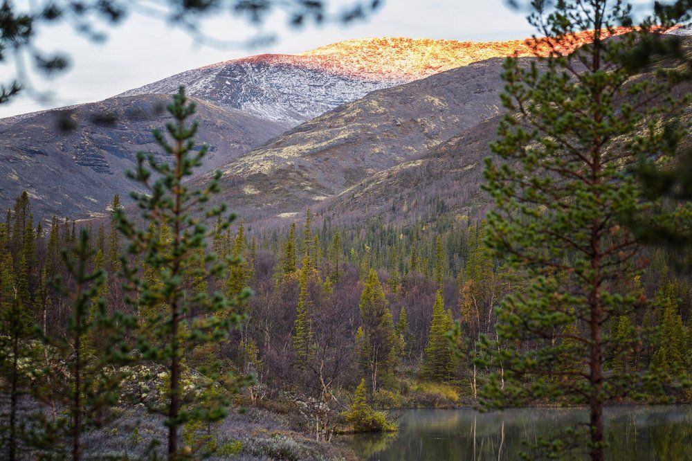 Photograph by Александр Романов