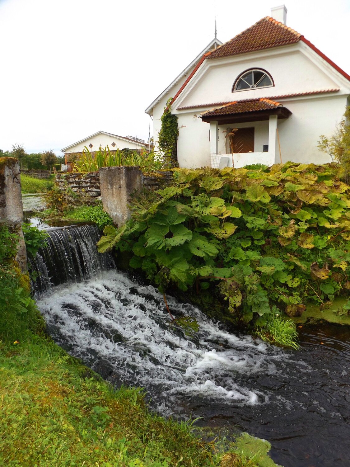 Photo #1433318