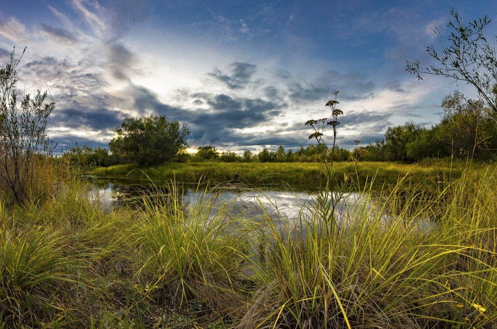Слушая тишину...