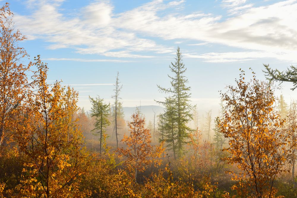 туманом озеро покрыто
