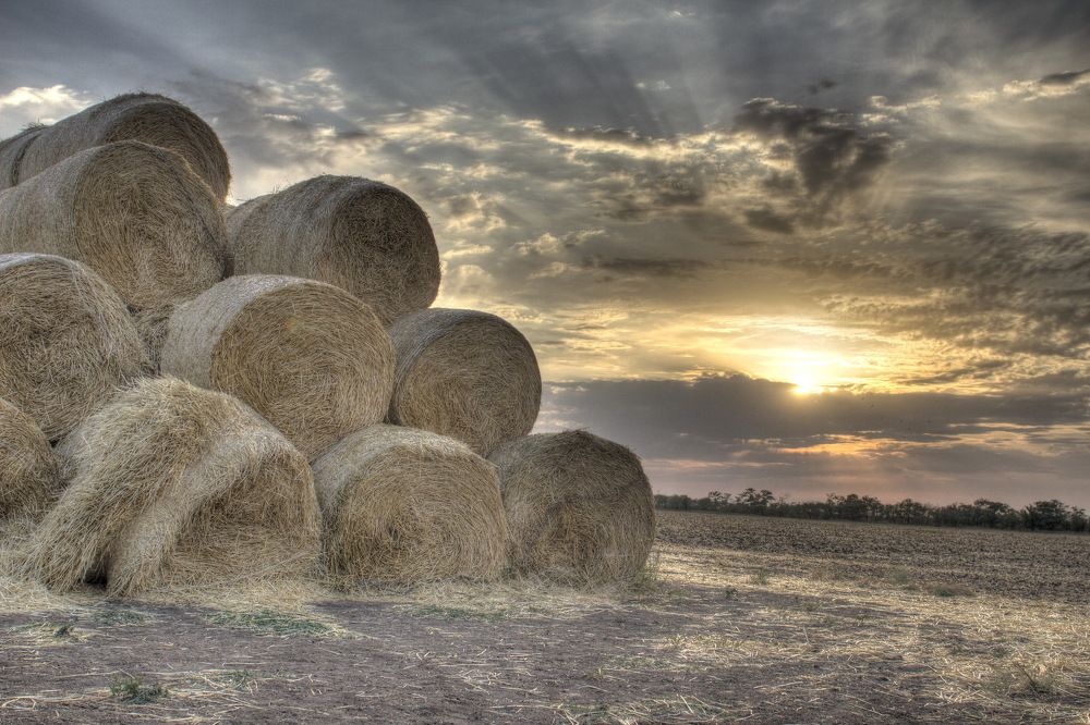 После жатвы