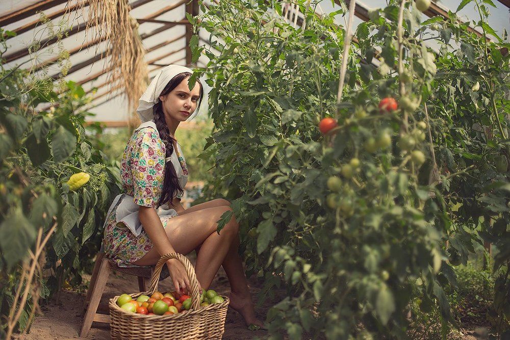 Собирая урожай...