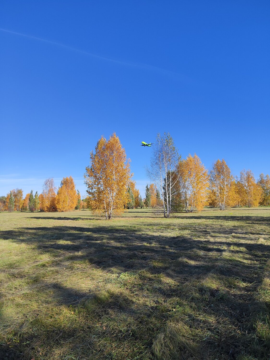 Photo #14300659
