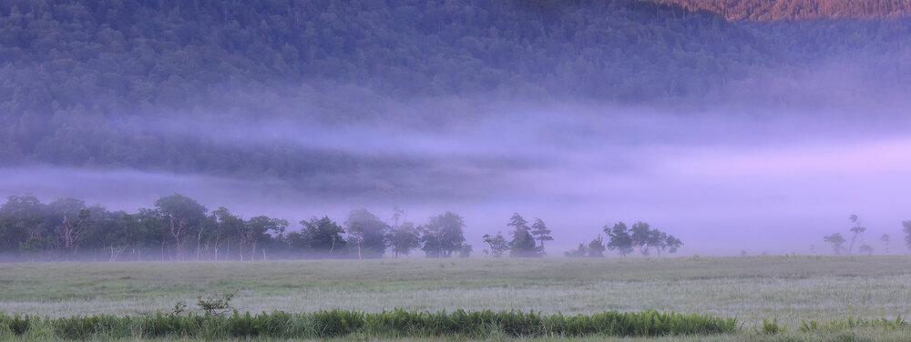 Where Purple Mists Drift