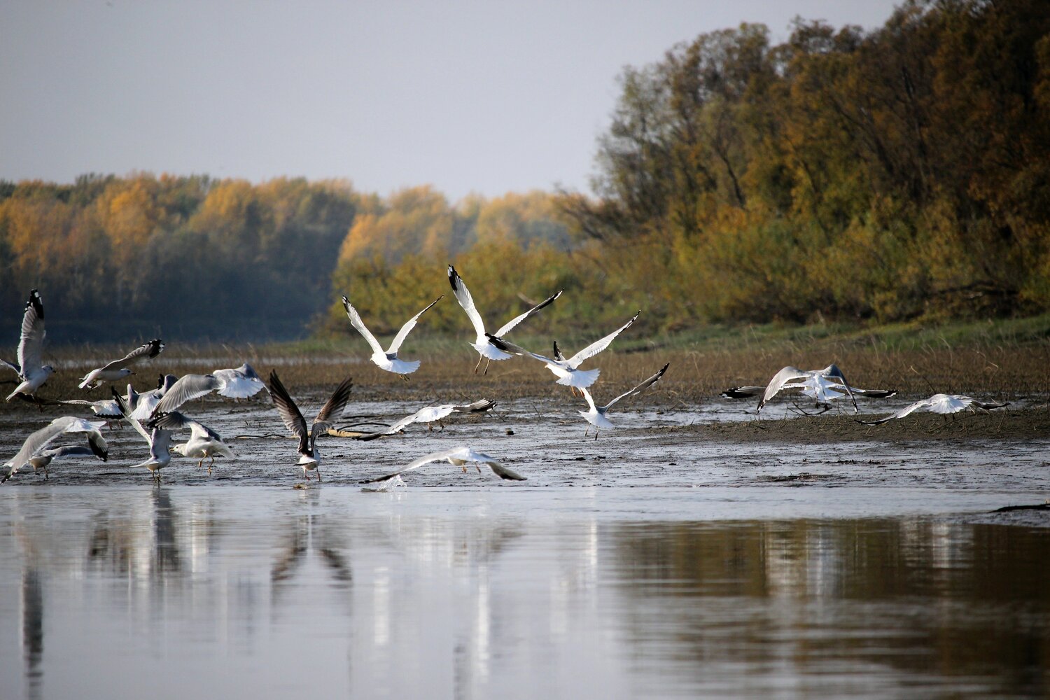 Photo #14304645