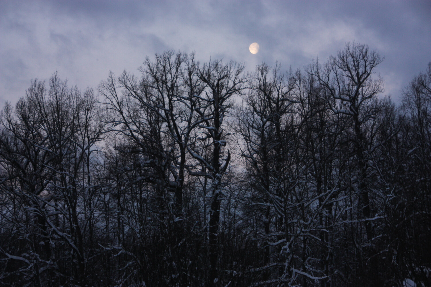 Photo #14305207